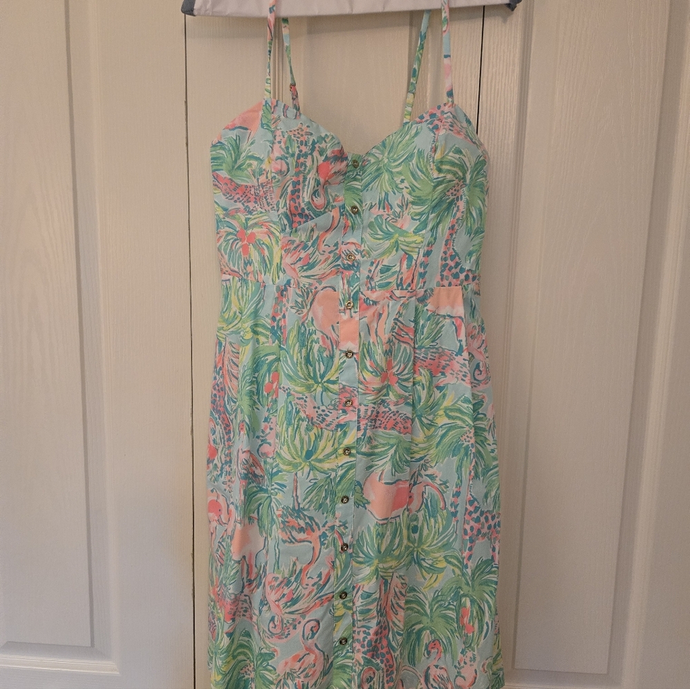 Lilly Pulitzer Pink and Green Floral Sun Dress
